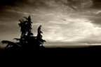Tramonto in B/N Tramonto in B/N
