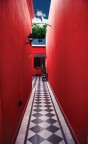 profondo rosso profondo rosso