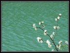 Primavera al lago Primavera al lago