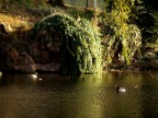 Nature Nature