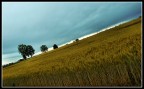 Una giornata storta Una giornata storta