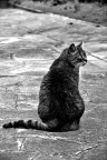 Where are you looking? Where are you looking?