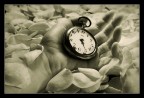 Tempus fugit! Tempus fugit!