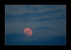 Red Sphere Red Sphere