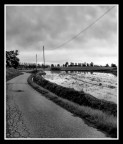 Viaggio tra i ricordi Viaggio tra i ricordi
