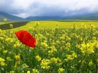 L'intruso rosso L'intruso rosso