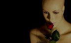 amore di plastica amore di plastica