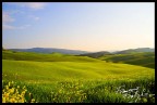 Colline Verdi Colline Verdi
