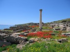 tharros tharros
