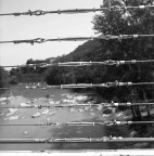 Rolleiflex 6006
Distagon 50f4
PlusX in HC110 Dil-H