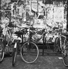 Rolleiflex T
PanF in HC110 Dil 1+127