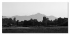Campagna Campagna