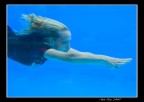 Sirena Sirena