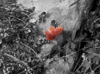 farfalla