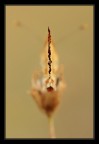 Fessura Fessura