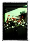 Flowers Flowers