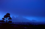 Una strana CUREPIPE Una strana CUREPIPE