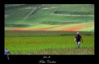 Castelluccio passeggiata di un amico (raduno Umbria)