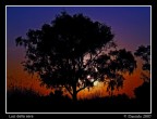 Luci della sera Luci della sera