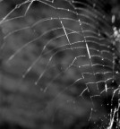 architetti da generazionii e generazioni! eheh!