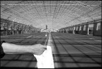 il via il via