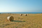 Rotoballe sul mare #2 (Punta Tramontana - Giugno 2007) Rotoballe sul mare #2 (Punta Tramontana - Giugno 2007)