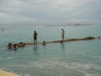 haitiani alla deriva haitiani alla deriva
