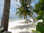 isola saona isola saona