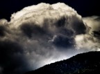 * mushroom cloud * * mushroom cloud *