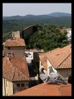 Osservare Massa Marittima Osservare Massa Marittima