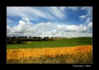 Paesaggio di luglio Paesaggio di luglio