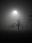 che nebbia! che nebbia!