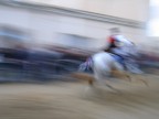 cavallo e cavaliere della sartiglia di oristano
