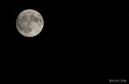 Moon Moon
