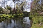 I Giardini di Ninfa I Giardini di Ninfa