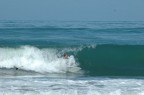 surf surf