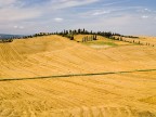Crete Senesi #1 Crete Senesi #1