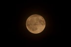 Prima foto della luna Prima foto della luna