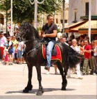 Cavallo Ballerino Cavallo Ballerino