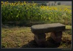 Giallo con seduta Giallo con seduta