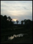Landscape Landscape