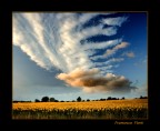 landscape landscape