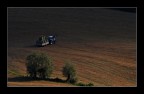 ai confini della luce.. ai confini della luce..
