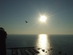 Controluce Controluce