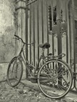 Vecchia bici...