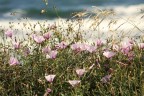 Oltre..il mare Oltre..il mare