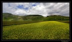 Fior di lenticchia .....a Castelluccio (Raduno umbro)
