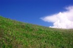 pratocielo pratocielo