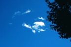 Blu dipinto di blu Blu dipinto di blu