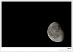 Moon Moon